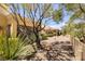 Home's backyard featuring desert landscaping, mature trees, and a gravel ground cover at 2420 Desert Butte Dr, Las Vegas, NV 89134