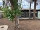View of a home's backyard with mature trees offering privacy, providing a natural setting at 524 5Th St, Boulder City, NV 89005