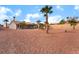 Expansive landscaped backyard featuring desert landscaping and mature palm trees at 3157 Faiss Dr, Las Vegas, NV 89134