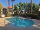 Community pool surrounded by lush landscaping and palm trees, perfect for relaxation at , Las Vegas, NV 89183
