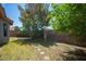 Spacious backyard featuring mature trees, lush lawn and a block wall providing privacy for outdoor activities at 2859 Palleta Dr, Henderson, NV 89074