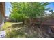 A lush backyard with mature trees, offering a private outdoor space to enjoy, surrounded by block wall fencing at 2859 Palleta Dr, Henderson, NV 89074