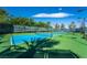 Community pickleball court with well-maintained surface, lighting, and lush landscaping at 2896 Grande Arch St, Henderson, NV 89044