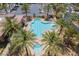 Resort-style community swimming pool and spa with shaded seating areas surrounded by lush palm trees at 2896 Grande Arch St, Henderson, NV 89044