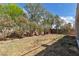 Backyard featuring minimal lawn and flowering Oleander shrubs, perfect for low-maintenance living at 4016 Owlshead Mountain St, Las Vegas, NV 89129