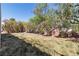 Spacious backyard with drought-resistant landscaping and mature flowering bushes at 4016 Owlshead Mountain St, Las Vegas, NV 89129