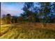 Lush backyard featuring green grass and flower bushes, offering a serene outdoor space at 4016 Owlshead Mountain St, Las Vegas, NV 89129