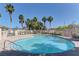 Community pool surrounded by palm trees and lounge chairs, perfect for relaxation and enjoying the outdoors at 5552 Dueces Wild Ct # 101, Las Vegas, NV 89122