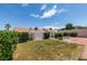 Backyard with desert and grass landscaping and privacy wall at 904 Big Horn St, Henderson, NV 89002