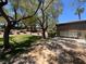 Exterior view of community mailboxes, landscaping, mature trees and grass, sunny skies, offering convenient mail access at 9116 Vista Greens Way # 104, Las Vegas, NV 89134