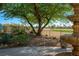 Well-manicured backyard landscaping, complete with mature trees and overlooking green space at 1441 Palm Dr, Laughlin, NV 89029