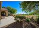 The backyard features lush landscaping, and a covered patio with mountain views at 1441 Palm Dr, Laughlin, NV 89029