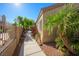 The landscaped side yard with desert plants, offering a tranquil walkway at 1441 Palm Dr, Laughlin, NV 89029