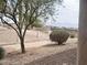 Backyard landscaping featuring desert decorative rock, mature landscaping, and block wall fencing at 2160 Highpointe Dr # 102, Laughlin, NV 89029