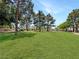 Expansive green lawn with mature trees providing shade in a community setting at 2204 Short Pine Dr, Las Vegas, NV 89108