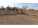 Large backyard featuring desert landscaping, with brick wall and sparse vegetation at 3021 New Journey Way, North Las Vegas, NV 89031