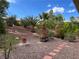 Backyard featuring desert landscaping, bushes, and palm trees at 5049 Alfingo St, Las Vegas, NV 89135