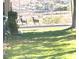 Two desert bighorn sheep in a yard, with houses in the background at 508 Tara Ct, Boulder City, NV 89005