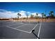 The community tennis court is surrounded by palm trees, offering a scenic backdrop for friendly matches and outdoor enjoyment at 1136 Paradise Garden Dr, Henderson, NV 89002