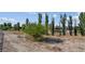 Desert landscape with drought resistant vegetation and mature trees at 5357 Eleganza Ave, Pahrump, NV 89061