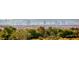 Scenic city skyline view amidst lush green trees, illustrating the tranquil environment near the bustling city at 6311 Baker Creek St, Las Vegas, NV 89149