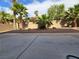 Backyard has a concrete patio surrounded by palm trees and desert landscaping at 6638 Babys Tear Pl, Las Vegas, NV 89148
