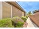 Landscaped exterior view of a well-maintained home with lush greenery and colorful flowers at 7332 Redhead Dr, North Las Vegas, NV 89084