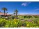 Expansive backyard showcasing a lush golf course view, mature palm trees, and bright yellow wildflowers at 12 Strada Di Circolo, Henderson, NV 89011