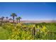 Expansive backyard showcasing a lush golf course view, mature palm trees, and bright yellow wildflowers at 12 Strada Di Circolo, Henderson, NV 89011
