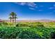 Lush backyard with manicured shrubs, palm trees, and views of the lake, golf course, and mountains at 12 Strada Di Circolo, Henderson, NV 89011