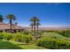 Expansive backyard showcasing a lush golf course view, mature palm trees, and bright yellow wildflowers at 12 Strada Di Circolo, Henderson, NV 89011