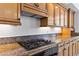 Modern kitchen features granite countertops, stainless steel appliances, and custom wood cabinetry at 12 Strada Di Circolo, Henderson, NV 89011