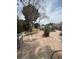 Backyard patio and landscaped yard at 2450 Oak Glen Way, Las Vegas, NV 89115