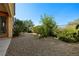 Low-maintenance backyard featuring gravel, various trees, shrubs and partial fencing at 33 Via Di Mello, Henderson, NV 89011