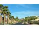 Palm tree lined street in a meticulously landscaped residential neighborhood at 33 Via Di Mello, Henderson, NV 89011