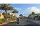 View of the community street with lush landscaping, palm trees, and well-maintained homes at 5209 Silica Chalk Ave, Las Vegas, NV 89115