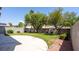 This backyard features a well-maintained lawn, trees, and a concrete patio perfect for outdoor entertaining at 682 E Sole Addiction Ave, Las Vegas, NV 89183
