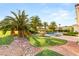 Lush backyard with mature palm trees, green lawn, and a sparkling pool at 8895 S Tenaya Way, Las Vegas, NV 89113