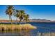 Picturesque lake view with tall grass, palm trees, and distant mountains against a clear blue sky at 8 Via Dolcetto, Henderson, NV 89011