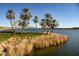 Scenic lake view with palm trees and green lawn, accented by reeds and mountains in the background at 8 Via Dolcetto, Henderson, NV 89011