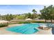 Community pool and jacuzzi with covered seating and lush landscaping at 1309 Vista Del Monte Dr, Mesquite, NV 89027
