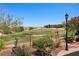 A lush green golf course view from the patio, featuring a manicured lawn and blue skies at 1309 Vista Del Monte Dr, Mesquite, NV 89027