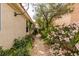 Charming side yard featuring a walkway with gravel, mature plants, and a view of the house at 1632 Royal Canyon Dr, Las Vegas, NV 89128