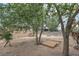 View of the large backyard with mature trees and space for outdoor activities at 240 N 19Th St, Las Vegas, NV 89101
