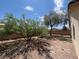Expansive backyard featuring mature trees, providing shade and a serene outdoor space at 732 Goshawk St, Henderson, NV 89015