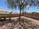 Backyard featuring desert landscaping, gravel and trees at 732 Goshawk St, Henderson, NV 89015