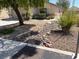 Charming one-story house with low-maintenance desert landscaping in the front yard, featuring rock features and mature foliage at 732 Goshawk St, Henderson, NV 89015