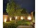 Green backyard with grass, brick walls and outdoor lighting at 1038 Beaver Crest Ter, Henderson, NV 89015
