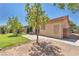 Backyard features mature trees, grass, a patio, and a block fence at 1038 Beaver Crest Ter, Henderson, NV 89015