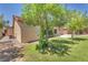 Lush backyard with a mature tree, green grass, patio area, and stucco exterior at 1038 Beaver Crest Ter, Henderson, NV 89015